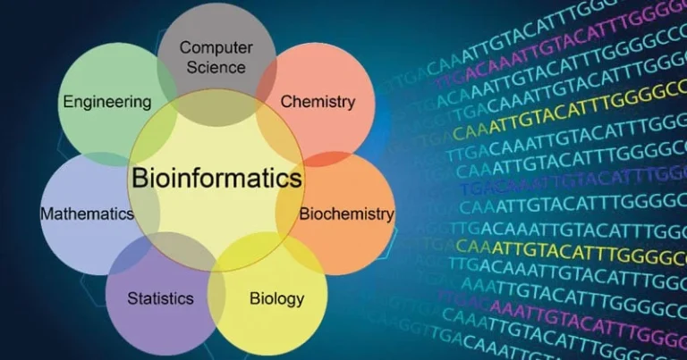 Bioinformatics