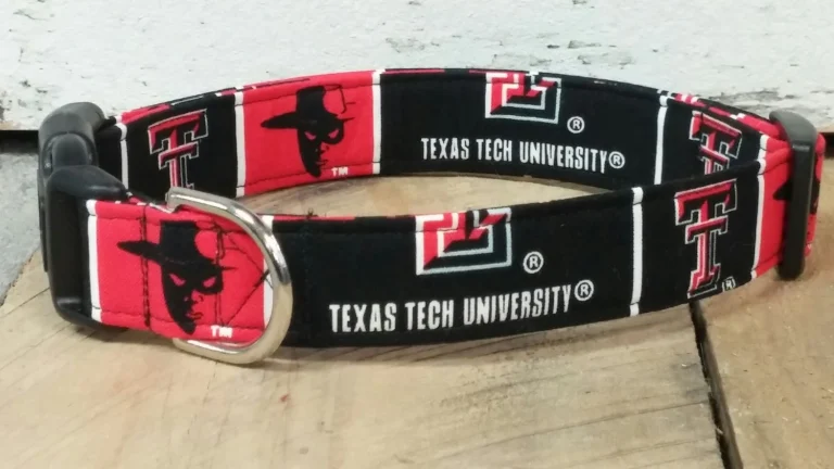 “Paws Up, Raiders! The Ultimate Guide to the Texas Tech Dog Collar That’ll Make Your Pup Bark with Pride” texas tech dog collar