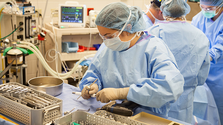 Vet Tech Cri Math: The Hidden Equation Behind Every Compassionate Animal Care vet tech cri math